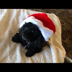 Meet your Posher, Tina